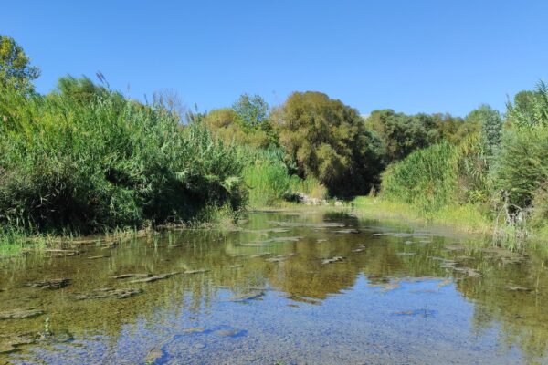 Μετάβαση στο: Εγκατάσταση αυτόματων σταθμών παρακολούθησης υδάτων στους ποταμούς Ευρώτα και Πάμισο