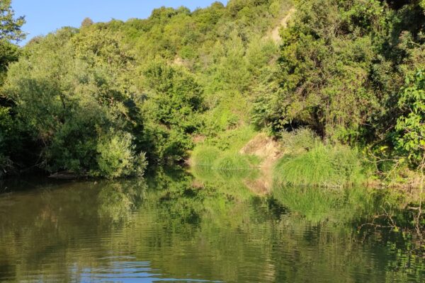 Μετάβαση στο: Λήψη δεδομένων / ειδοποιήσεων από τους σταθμούς του Open ElIoT